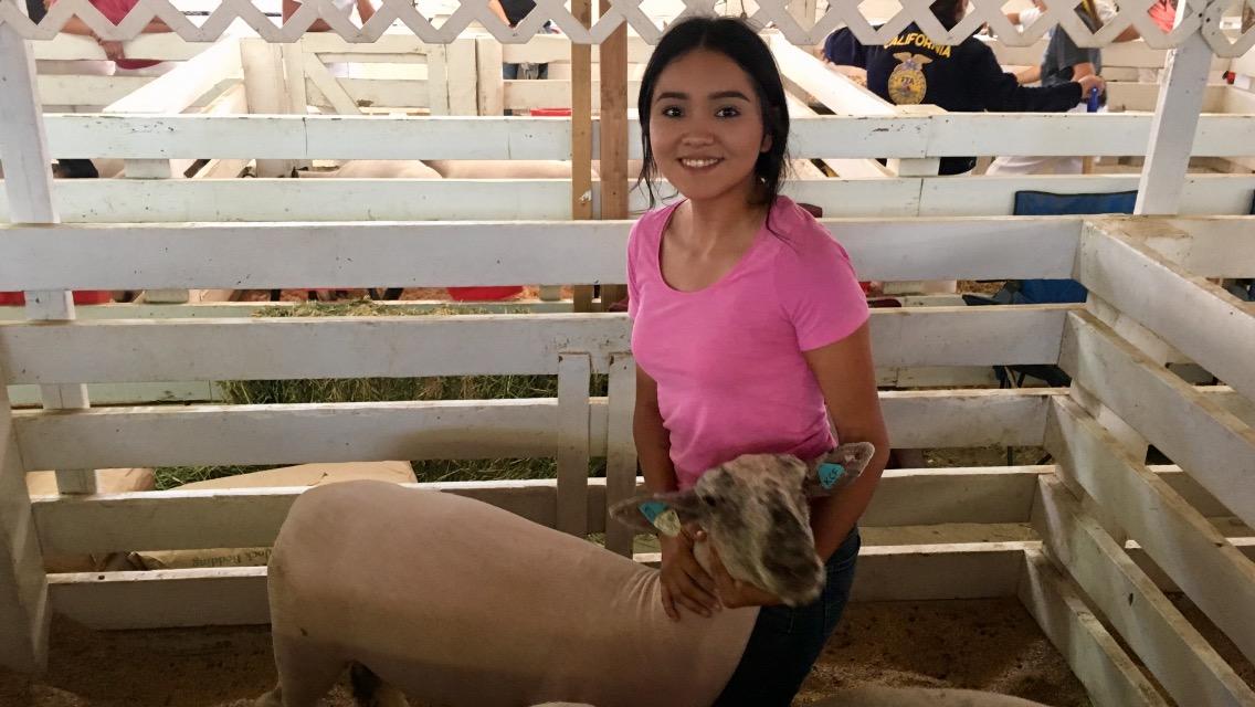 FHS student with lamb
