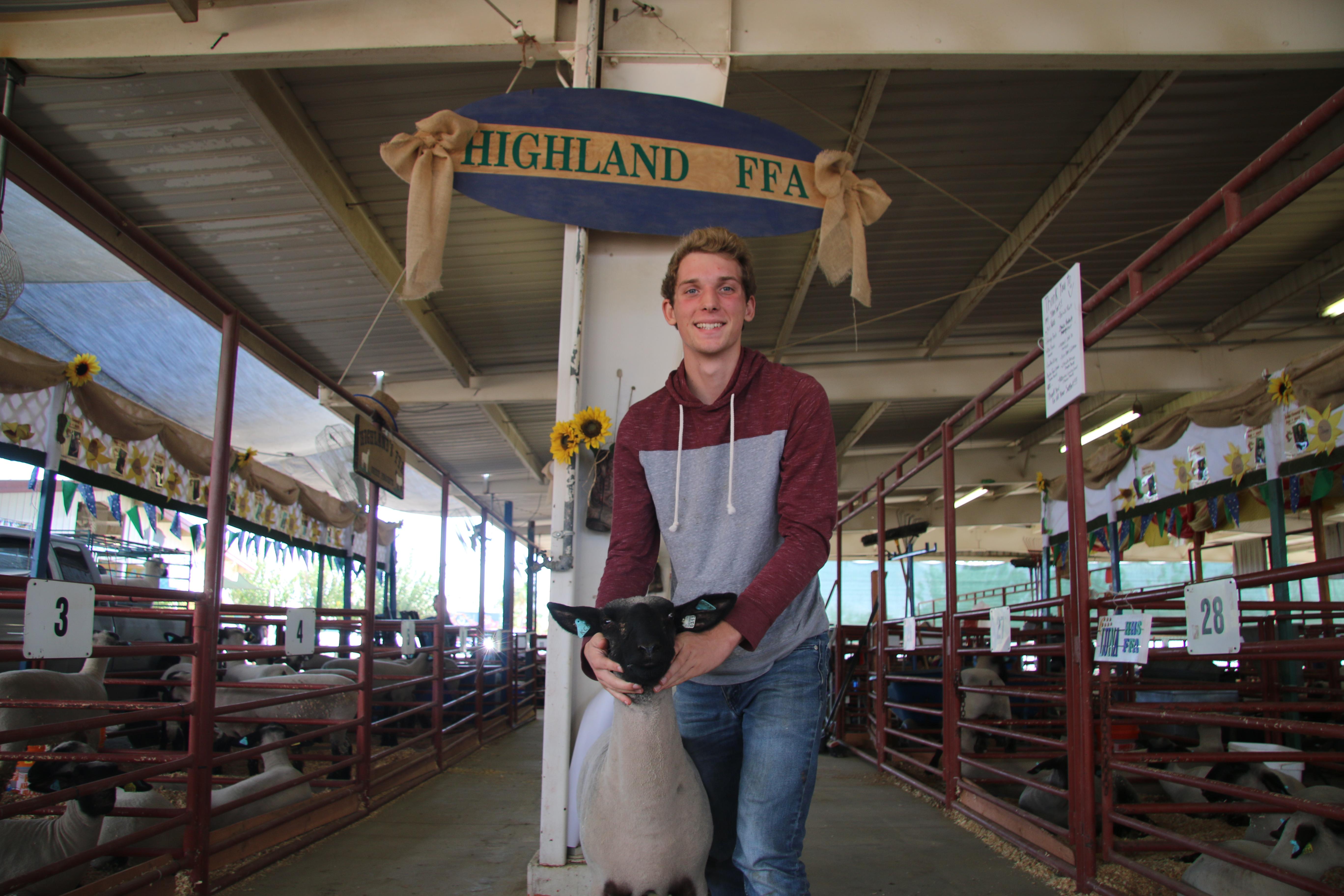 Jacob, with HHS FFA lamb project