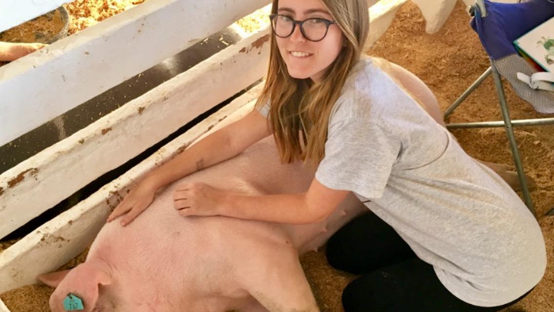 Independence student with swine FFA project